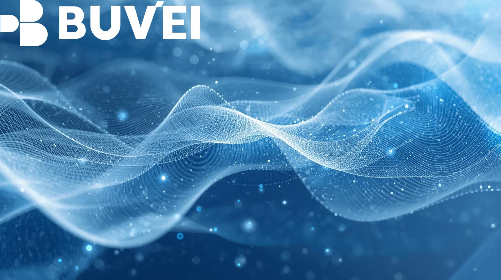 Virtual Privcy Screen Secure Virtual Cards: Privacy Without Full KYC