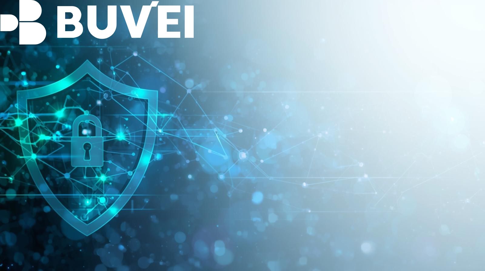 Visa Virtual Cards for Safer Online Shopping