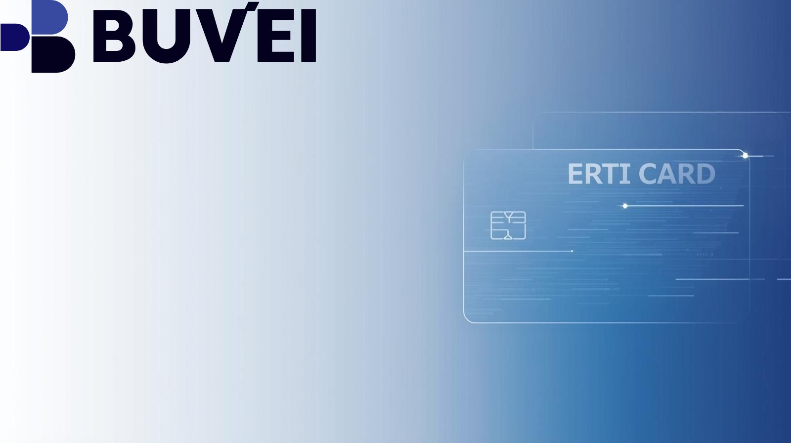 Crypto Virtual Cards: Are No-crypto virtual card, virtual crypto card, no-KYC  crypto card, Buvei crypto card, crypto card safety, crypto card  managementOptions Safe?